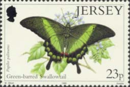Green-barred Swallowtail